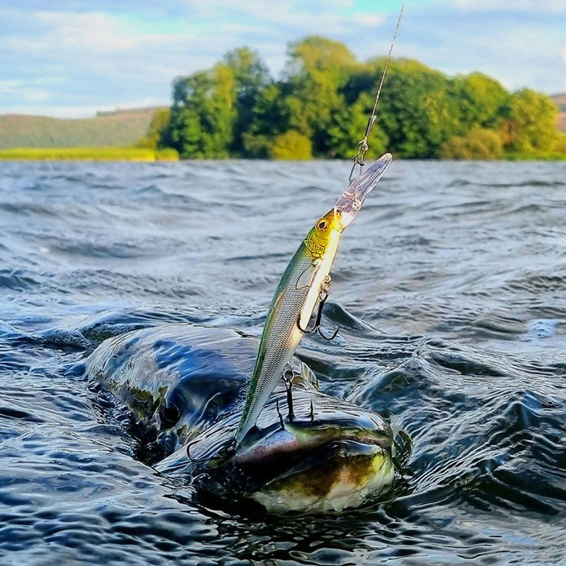 Westin Jerkbite SR Jerkbaits 7.5cm/5g